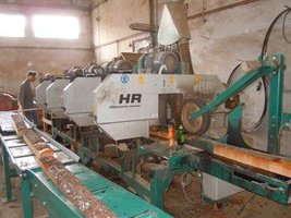 Produkcja palet i brykietu w firmie Koscal