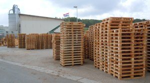 Produkcja palet i brykietu w firmie Koscal