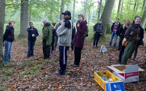 Konferencja „Forest Biomass Conference” - Puszcza Bukowa