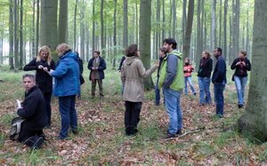 Konferencja „Forest Biomass Conference” - Puszcza Bukowa