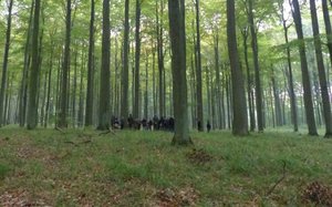 Konferencja „Forest Biomass Conference” - Puszcza Bukowa