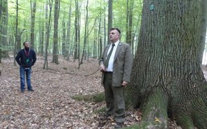 Robert Wójcik - Nadleśniczy Nadleśnictwa Gryfino