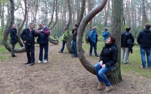Konferencja „Forest Biomass Conference” - Rezerwat "Krzywy las"