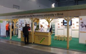 Targi WOOD-TEC 2013 Brno