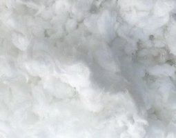 Celuloza za wschodnią granicę pojedzie bez cła