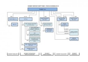 Zmiany w akcjonariacie Pagedu