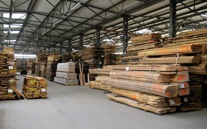 Rząd przyjął projekt zmian w prawie koniecznych do wdrożenia FLEGT i EUTR