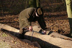 Kurs brakarzy drewna okrągłego dla tartaczników i przedsiębiorców leśnych 