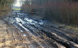 Lasy Państwowe: 700 mln zł na inwestycje w 2014