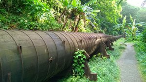 Drewniany rurociąg na Karaibach 