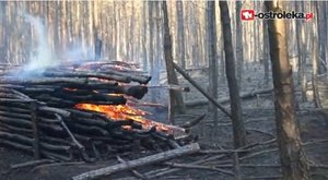 Ponad 100 ha lasów spłonęło w miniony weekend