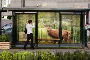 Lasy Państwowe mają problem z VAT