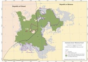 Obszar Puszczy Białowieskiej jako Obiekt Światowego Dziedzictwa UNESCO - 2014