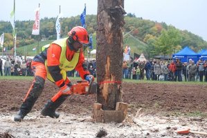 Mistrzostwa Świata Drwali w 2016r. odbędą się w Polsce