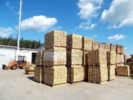 Standrew zwiększa przychody i poprawia zyski