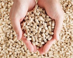 Europa stawia na ekologię w przemyśle energetycznym