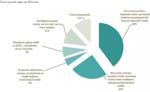 Jaki jest polski potencjał  zakupowy na meble?
