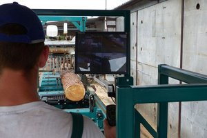 Piechociński: Informacja na temat przemysłu drzewnego i systemu sprzedaży drewna w Polsce