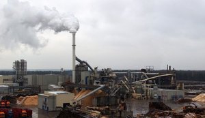 EBOR udzielił 50 mln euro kredytu dla Kronospanu