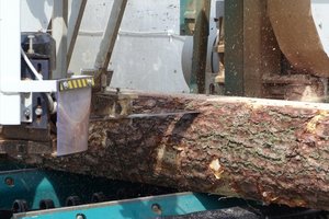 Instytut Technologii Drewna realizuje projekt dotyczący poprawy wykorzystania zasobów drewna