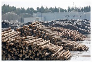 IKEA Industry otwarła największy tartak w Polsce