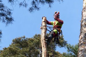 Projekt Wydziału Leśnego UP w Poznaniu zdobył 1,6 mln zł 