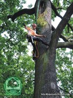 Mistrzostwa Europy Arborystów