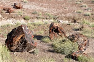 Skamieniałe drewno w Petrified Forest National Park - Park Narodowy Skamieniałego Lasu (Arizona/USA)
