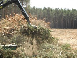 „Jak zarobić na biomasie?” - jednodniowe szkolenie wraz z warsztatem