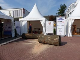 Plener rzeźbiarski Drema 2014