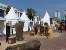 Plener rzeźbiarski Drema 2014
