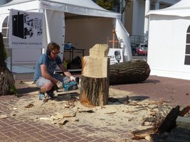 Plener rzeźbiarski Drema 2014