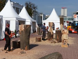 Plener rzeźbiarski Drema 2014
