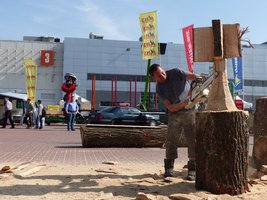 Plener rzeźbiarski Drema 2014