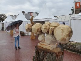 Plener rzeźbiarski Drema 2014