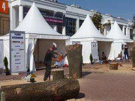 Plener rzeźbiarski Drema 2014