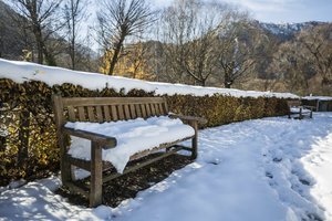Jak zabezpieczyć drewno na zimę