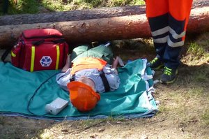 15 wypadków śmiertelnych w leśnictwie i przy pozyskiwaniu drewna w 2013r.