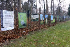 Wystawa zdjęć rzeźb na terenie kampusu Wydziału Lesśnego