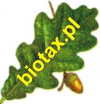 BIOTAX.PL