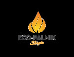 Eco-palnik