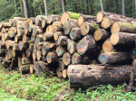 EU-Timber