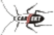 Carsekt
