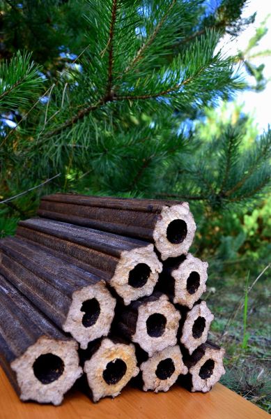 PELLET, BRYKIET, WĘGIEL DRZEWNY, BIOMASA