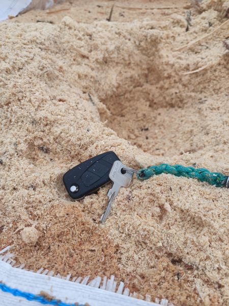 Sprzedam trociny mokre - iglaste