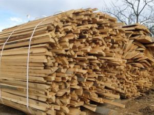 Kupię zrzyny liściste 