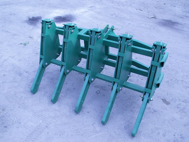 Sprzedam Bonę leśną, Grabie leśne, Grabon