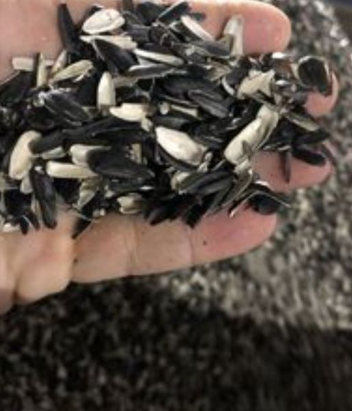 Łupiny słonecznika do produkcji pelletu z łuski słonecznika 