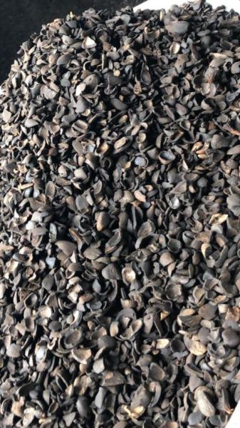 Sprzedam Palm Kernel Shell