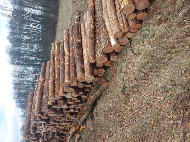 Sosna kłoda 4m s2b s2a 2.5m Rawa mazowiecka Kutno